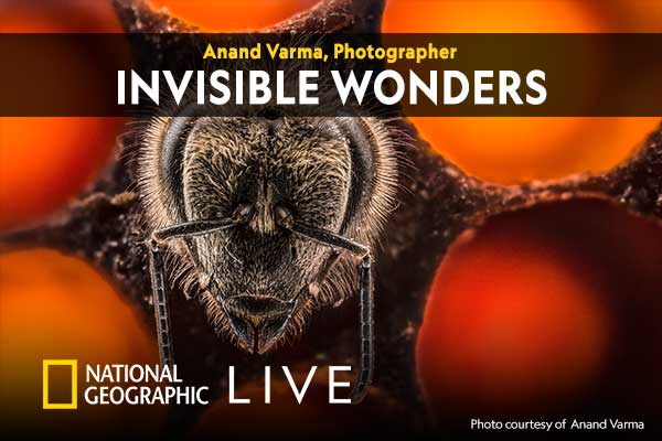 National Geographic Live: Invisible Wonders